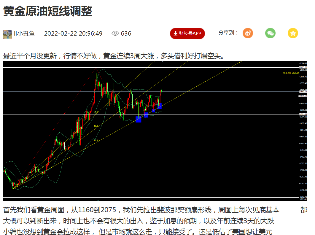 投标中冲标是什么意思_什么叫投标中标_项目冲标是什么意思