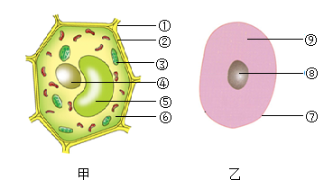 箭头向上打一字是什么_向上的双箭头怎么打_箭头朝上怎么打出来