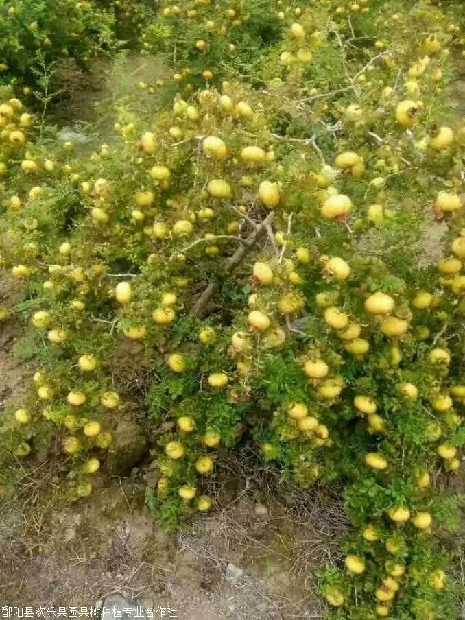 飞龙栈道游玩攻略_飞龙岂是池中物免费_飞龙栈道门票多少钱