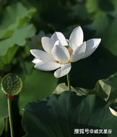 新超越极限仓库刷钱_超越极限仓库放什么神器_刷极限背包有什么技巧