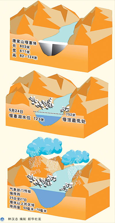 人类进化史动画-探索人类进化史，从猴子到现代人的神奇之旅