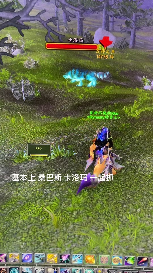 wow7.35灵魂兽有用吗_wow灵魂兽技能不一样吗_灵魂兽任务