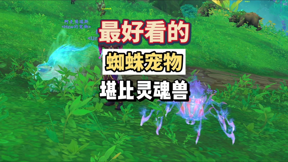 wow7.35灵魂兽有用吗_wow灵魂兽技能不一样吗_灵魂兽任务