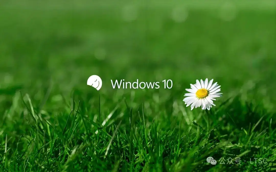 下载window10_window10系统下载_下载windosw10