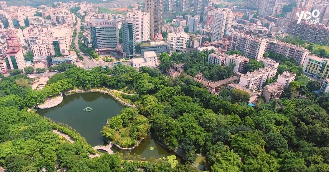 武汉凌云天下-武汉，一座让你热血沸腾的城市！美食、夜景、文化，应有尽有