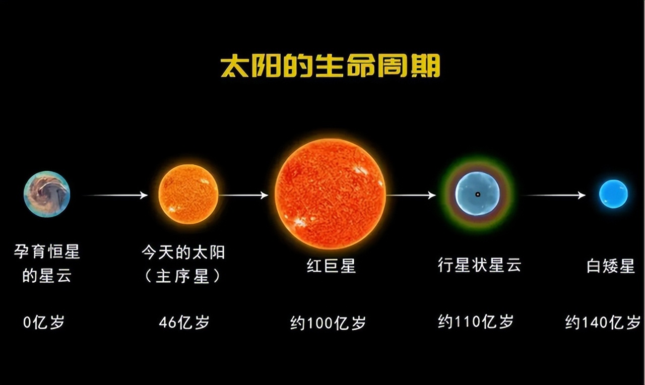 天狼心水361181-天狼心水 361181：数字背后的情感寄托与梦想火花