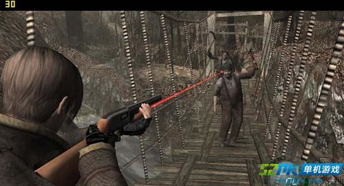 生化4 射击游戏,经典射击游戏的魅力再现
