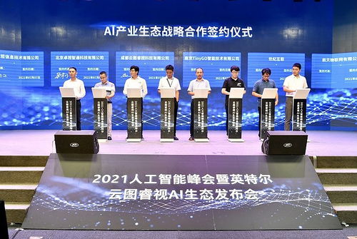 ai云图计划,构建智能时代的未来蓝图