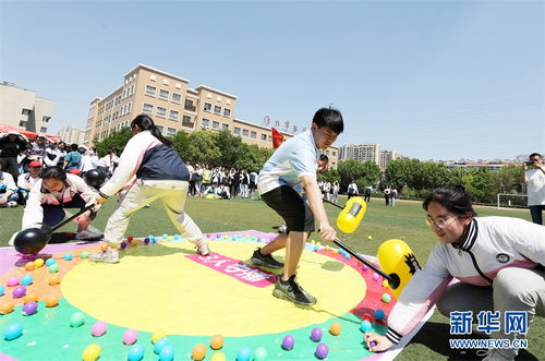 学生游戏活动,校园活力四溢——学生游戏活动新篇章