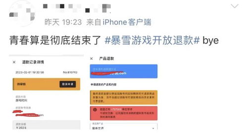 网易游戏退款,了解退款流程，保障玩家权益