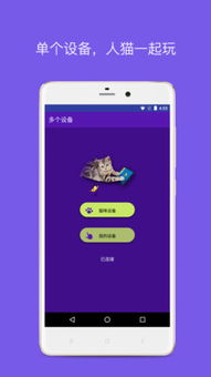 猫咪游戏app,猫咪游戏APP——猫咪爱好者的天堂