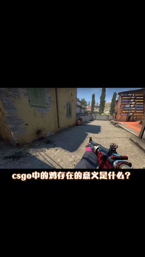 csgo什么意思