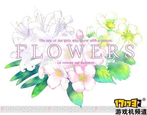 flowers游戏,探索FLOWERS系列游戏的浪漫与谜团