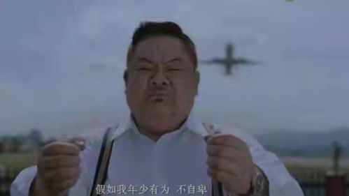 林雪的游戏,战斗辅助与剧情推动者的传奇之旅