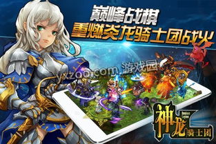 炎龙战棋游戏,经典战棋游戏的奇幻之旅